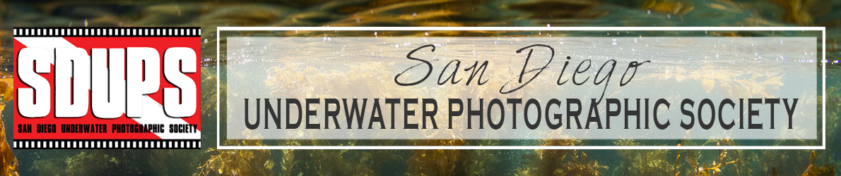 San Diego Underwater Photographic Society